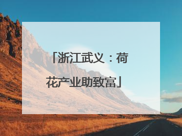 浙江武义：荷花产业助致富