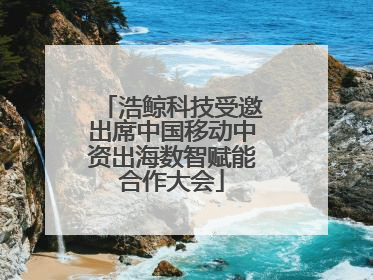 浩鲸科技受邀出席中国移动中资出海数智赋能合作大会