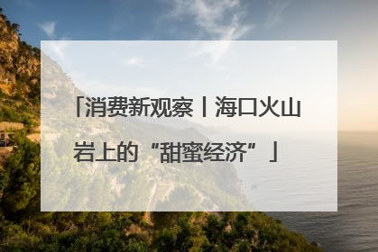 消费新观察丨海口火山岩上的“甜蜜经济”