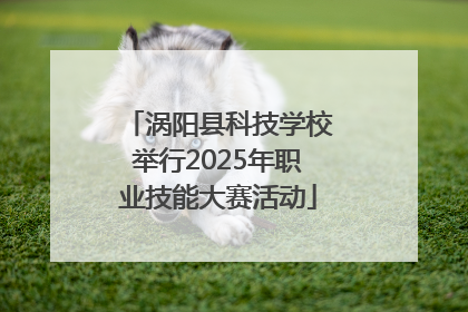 涡阳县科技学校举行2025年职业技能大赛活动
