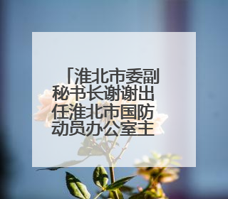 淮北市委副秘书长谢谢出任淮北市国防动员办公室主任