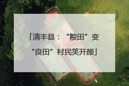 清丰县：“粮田”变“良田”村民笑开颜