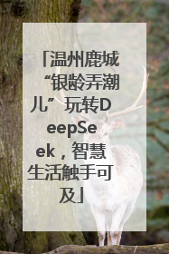 温州鹿城“银龄弄潮儿”玩转DeepSeek，智慧生活触手可及