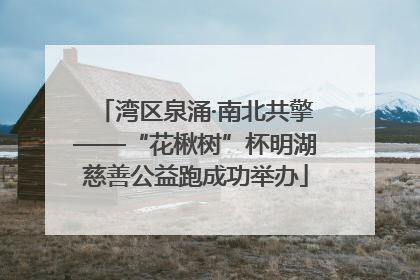 湾区泉涌·南北共擎——“花楸树”杯明湖慈善公益跑成功举办