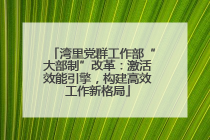 湾里党群工作部“大部制”改革：激活效能引擎，构建高效工作新格局