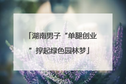 湖南男子“单腿创业”撑起绿色园林梦
