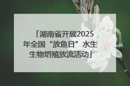 湖南省开展2025年全国“放鱼日”水生生物增殖放流活动