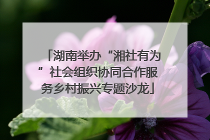 湖南举办“湘社有为”社会组织协同合作服务乡村振兴专题沙龙