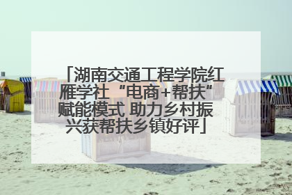 湖南交通工程学院红雁学社“电商+帮扶”赋能模式 助力乡村振兴获帮扶乡镇好评