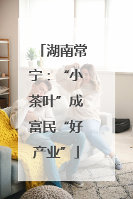 湖南常宁：“小茶叶”成富民“好产业”