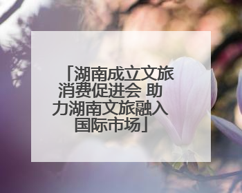 湖南成立文旅消费促进会 助力湖南文旅融入国际市场