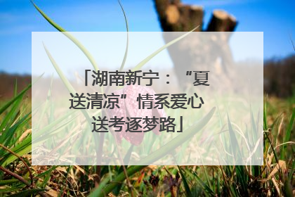 湖南新宁：“夏送清凉”情系爱心送考逐梦路