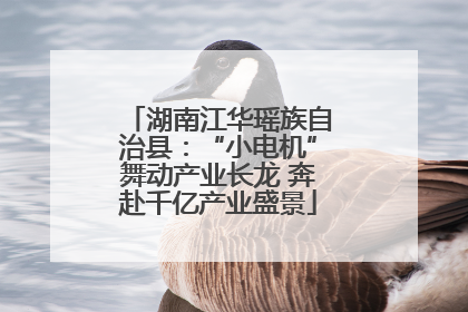 湖南江华瑶族自治县：“小电机”舞动产业长龙 奔赴千亿产业盛景