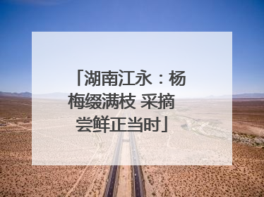 湖南江永：杨梅缀满枝 采摘尝鲜正当时