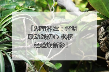湖南湘潭：警调联动践初心 枫桥经验焕新彩