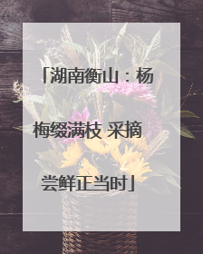 湖南衡山：杨梅缀满枝 采摘尝鲜正当时