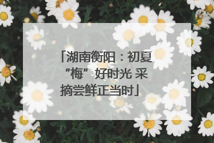 湖南衡阳：初夏“梅”好时光 采摘尝鲜正当时