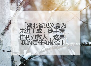 湖北省见义勇为先进王成：徒手握住利刃救人，这是我的责任和使命