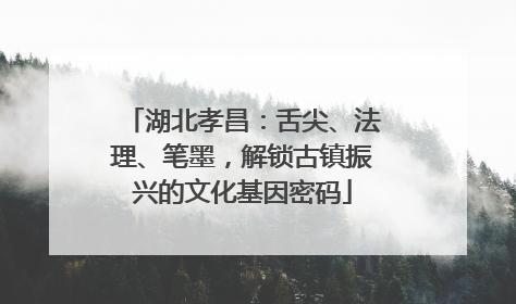 湖北孝昌：舌尖、法理、笔墨，解锁古镇振兴的文化基因密码