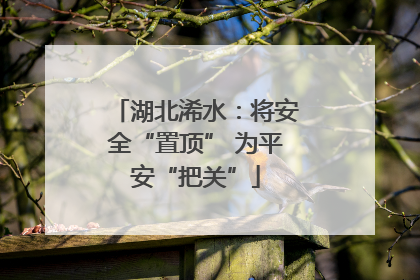湖北浠水：将安全“置顶” 为平安“把关”