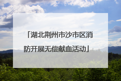 湖北荆州市沙市区消防开展无偿献血活动