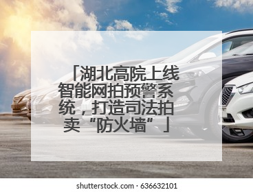 湖北高院上线智能网拍预警系统，打造司法拍卖“防火墙”