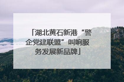 湖北黄石新港“警企党建联盟”叫响服务发展新品牌