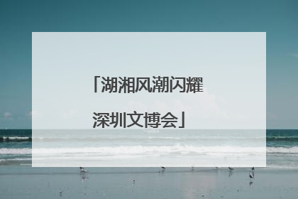 湖湘风潮闪耀深圳文博会