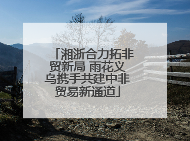 湘浙合力拓非贸新局 雨花义乌携手共建中非贸易新通道