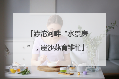 滹沱河畔“水景房”，崖沙燕育雏忙