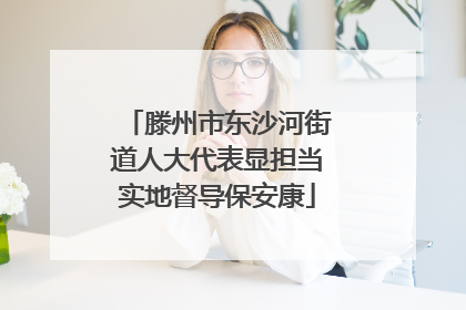滕州市东沙河街道人大代表显担当实地督导保安康