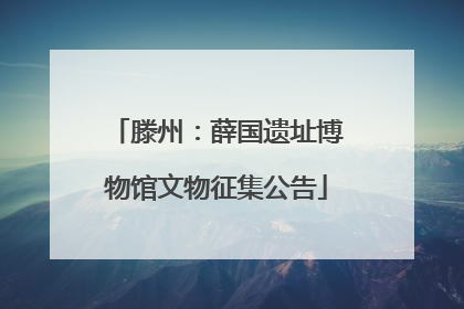 滕州：薛国遗址博物馆文物征集公告