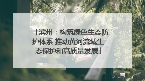 滨州：构筑绿色生态防护体系 推动黄河流域生态保护和高质量发展