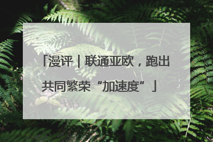 漫评｜联通亚欧，跑出共同繁荣“加速度”