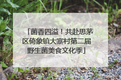 菌香四溢！共赴思茅区倚象镇大寨村第二届野生菌美食文化季