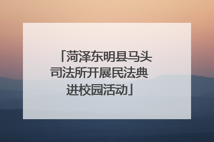 菏泽东明县马头司法所开展民法典进校园活动