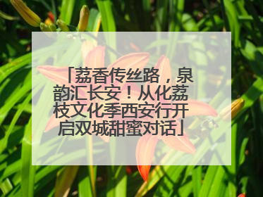 荔香传丝路，泉韵汇长安！从化荔枝文化季西安行开启双城甜蜜对话
