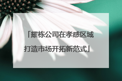 耀栋公司在孝感区域打造市场开拓新范式