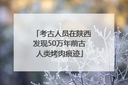考古人员在陕西发现50万年前古人类烤肉痕迹