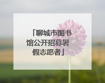 聊城市图书馆公开招募暑假志愿者