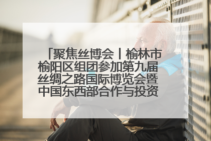 聚焦丝博会丨榆林市榆阳区组团参加第九届丝绸之路国际博览会暨中国东西部合作与投资贸易洽谈会