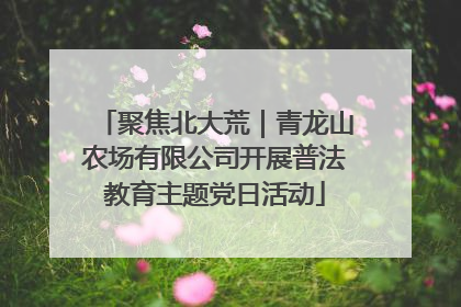 聚焦北大荒｜青龙山农场有限公司开展普法教育主题党日活动