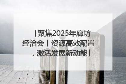 聚焦2025年廊坊经洽会丨资源高效配置，激活发展新动能