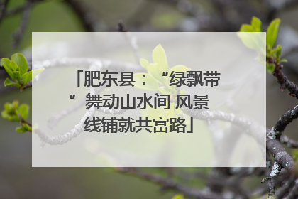 肥东县：“绿飘带”舞动山水间 风景线铺就共富路