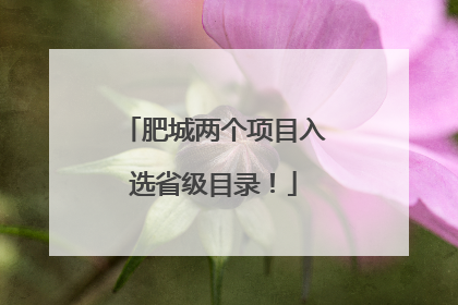 肥城两个项目入选省级目录！
