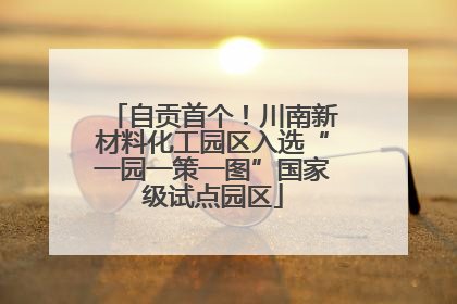 自贡首个！川南新材料化工园区入选“一园一策一图”国家级试点园区