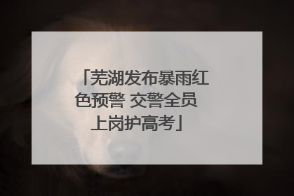 芜湖发布暴雨红色预警 交警全员上岗护高考