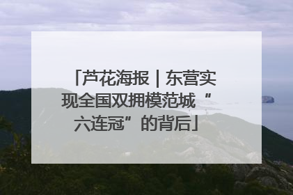 芦花海报｜东营实现全国双拥模范城“六连冠”的背后