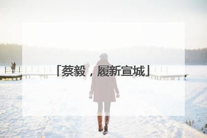 蔡毅，履新宣城