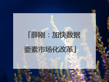 薛刚：加快数据要素市场化改革